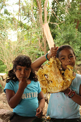 jackfruit