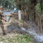 CRPF timely action averts major fire incident in Golflink, Shillong