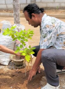 Tura MDC to plant 10,000 trees in Tura