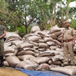 BSF foils smuggling attempts, seized cattle, sugar, cosmetic items worth Rs 15 lakh on Indo-Bangla border in Meghalaya